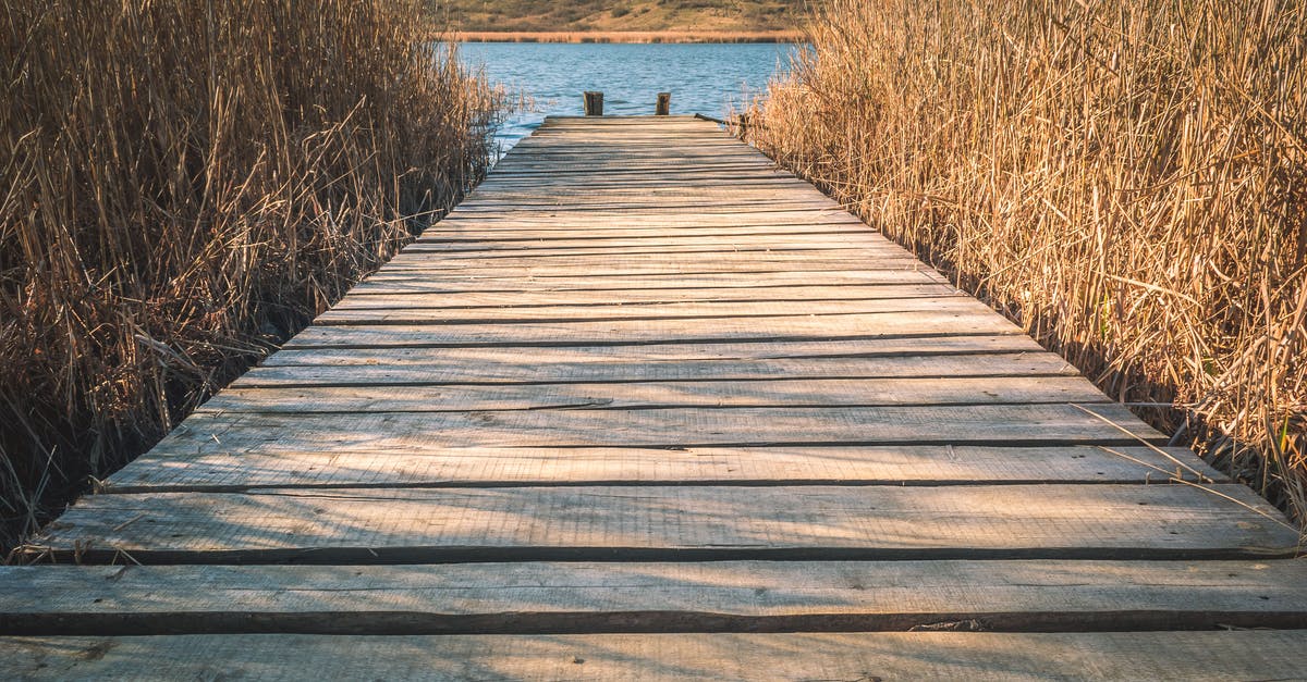 Romania - Travel Non EU Citizen - Brown Wooden Dock With Brown Grasses