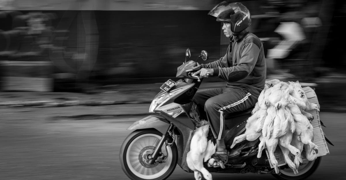 Route planner for moped in Norway and Sweden? - Black and white side view of ethnic motorcyclist in protective helmet riding motorbike with heap of dead geese on asphalt city road