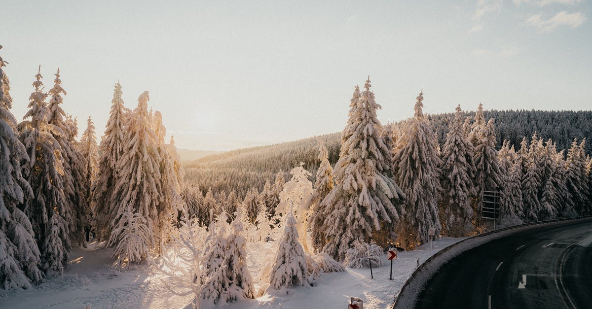 Rules for this road junction in Germany - Snow Covered Trees at the Side of a Road