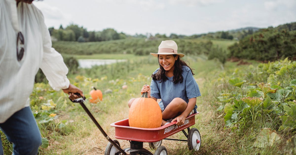 Safely disposing of agricultural contraband - Woman in Blue Denim Jacket and White Cowboy Hat Sitting on Red and Black Push Cart