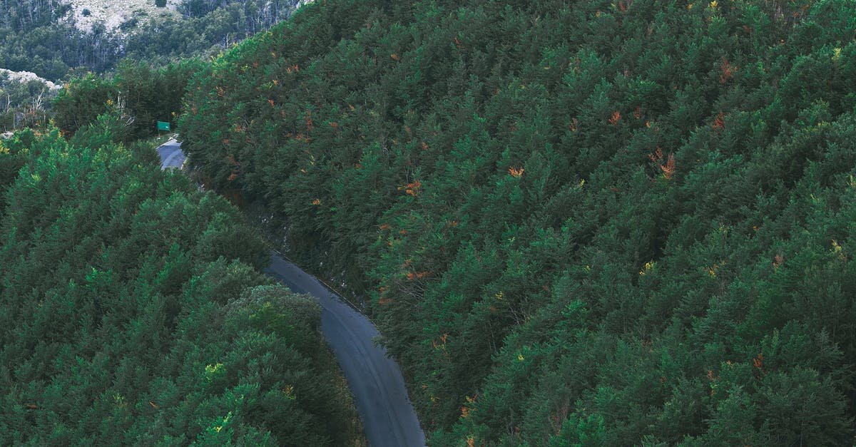 Scenic route from Switzerland to Calais [closed] - Narrow roadway among lush green trees growing in mountainous valley