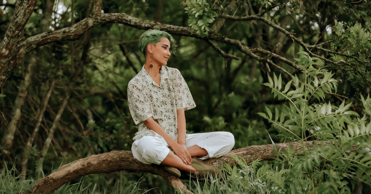 Schengen short term visa fingerprint - Smiling Woman with Short Green Hair Sitting on Branch of Big Tree