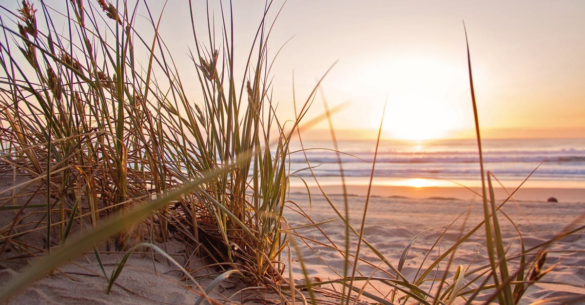 Schengen visa - travel - without NIE [closed] - Green Grass on Sand Overlooking Body of Water