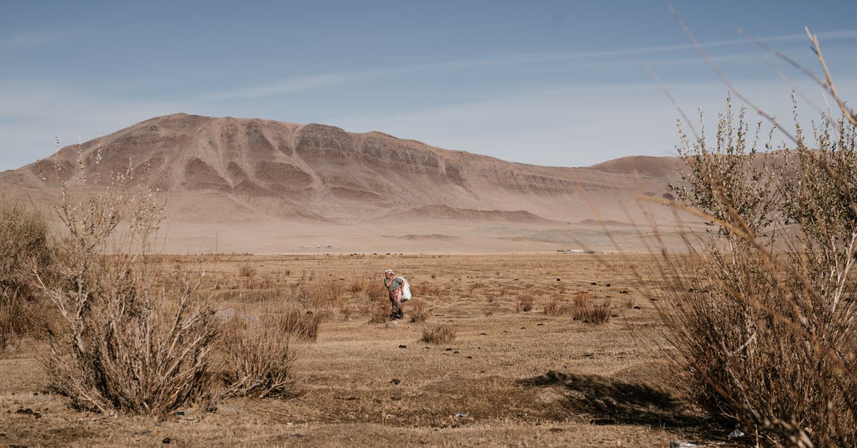 Schengen visa through VFS in India: No update for 20 days - Woman walking along steppe in sunny day