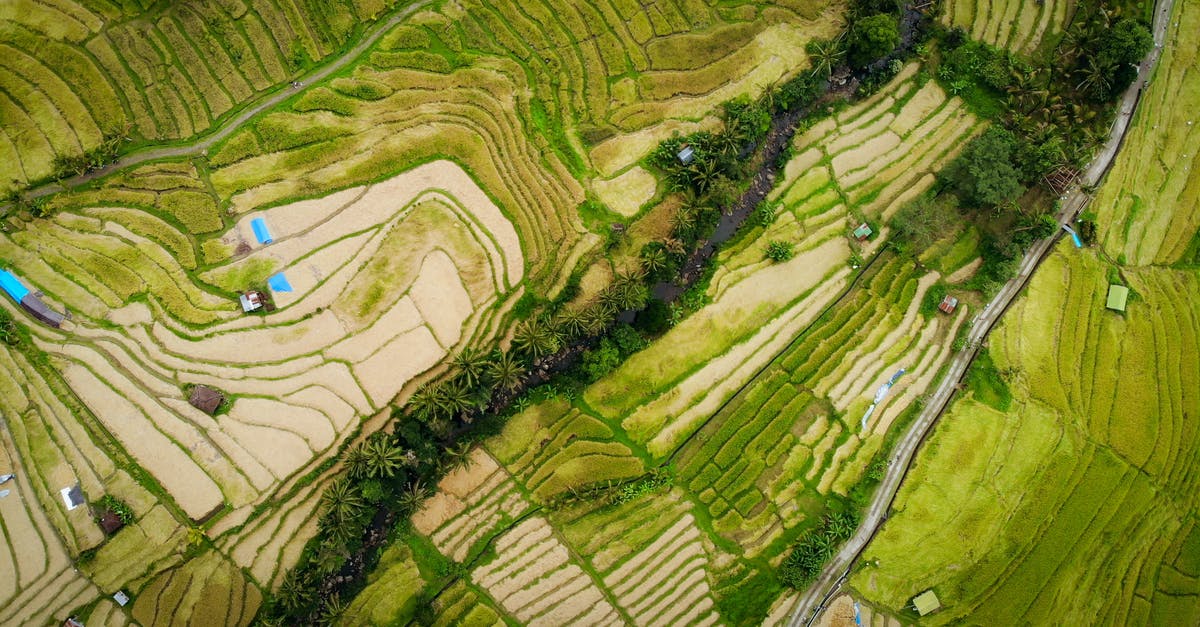 Seaplane from Bali to Rinca? - Aerial Photography Of Field