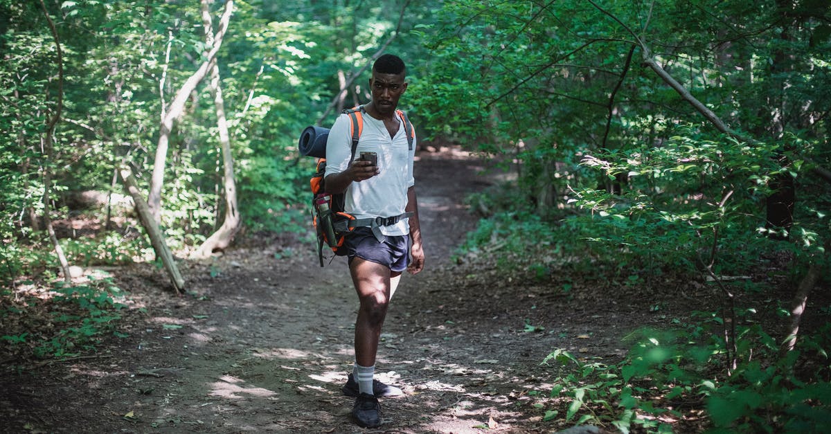 Searching a trekking route near Edinburgh - African American man with backpack in forest