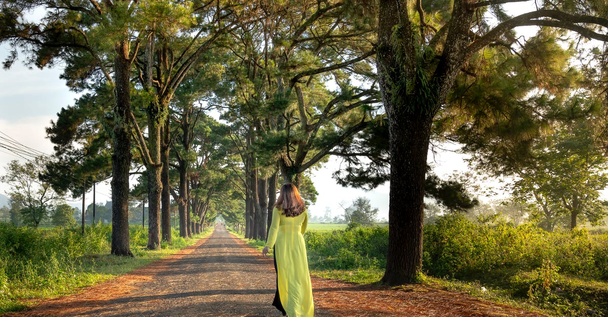 Security issues for a girl travelling solo around Europe [closed] - Woman Walking Between Trees