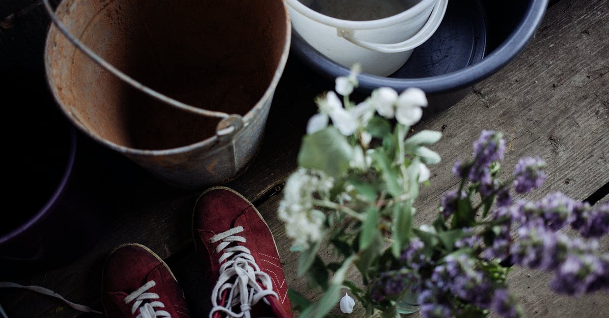 Self-isolate if my home country rises above threshold while I'm in Latvia? - From above of fresh blooming flowers placed on wooden floor near red trainers and buckets with basin Self-isolate if my home country rises above threshold while I'm in Latvia? - From above of fresh blooming flowers placed on wooden floor near red trainers and buckets with basin