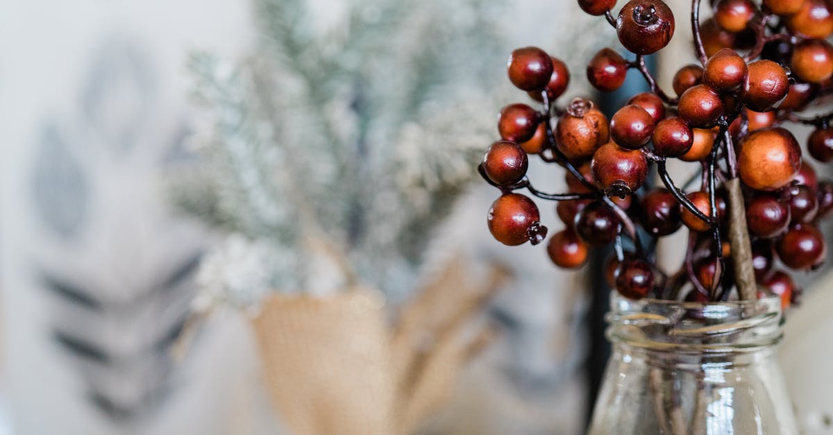 Sending dried fruits to Australia through courier [closed] - Dried Glossy Brown Fruits in a Bottle