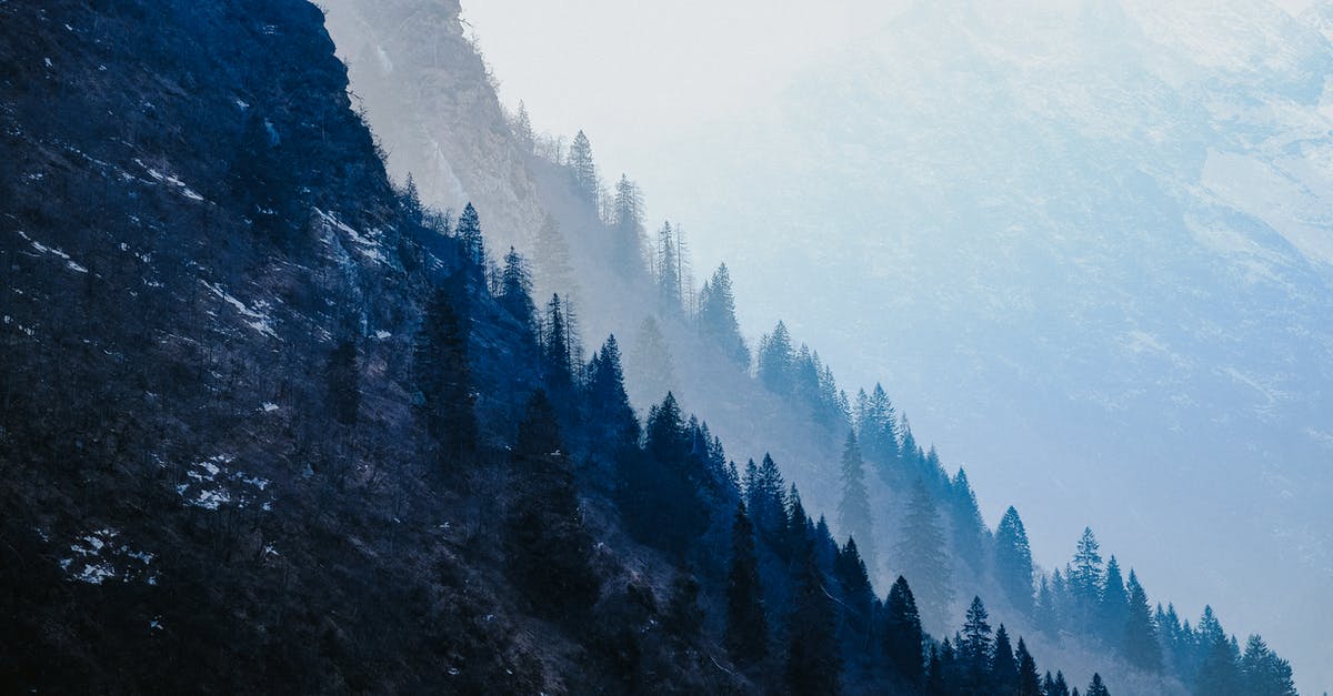 September/October in the Alps - Mountain Forest Double Exposure