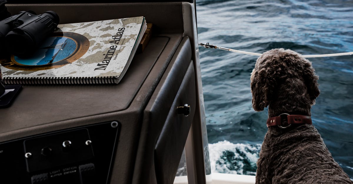 Shipping my dog - Dog Standing Beside Sea