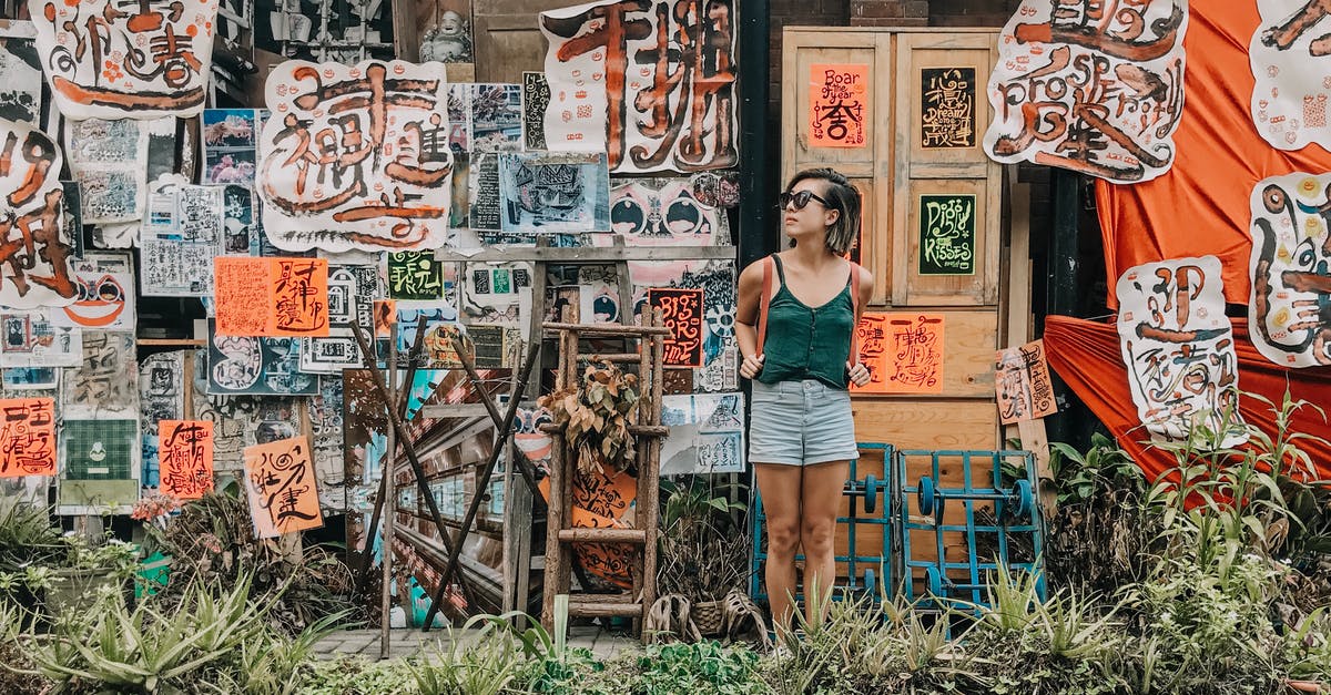 Short Term Tourist Visa Refusal [duplicate] - Woman Standing in Front of Paintings