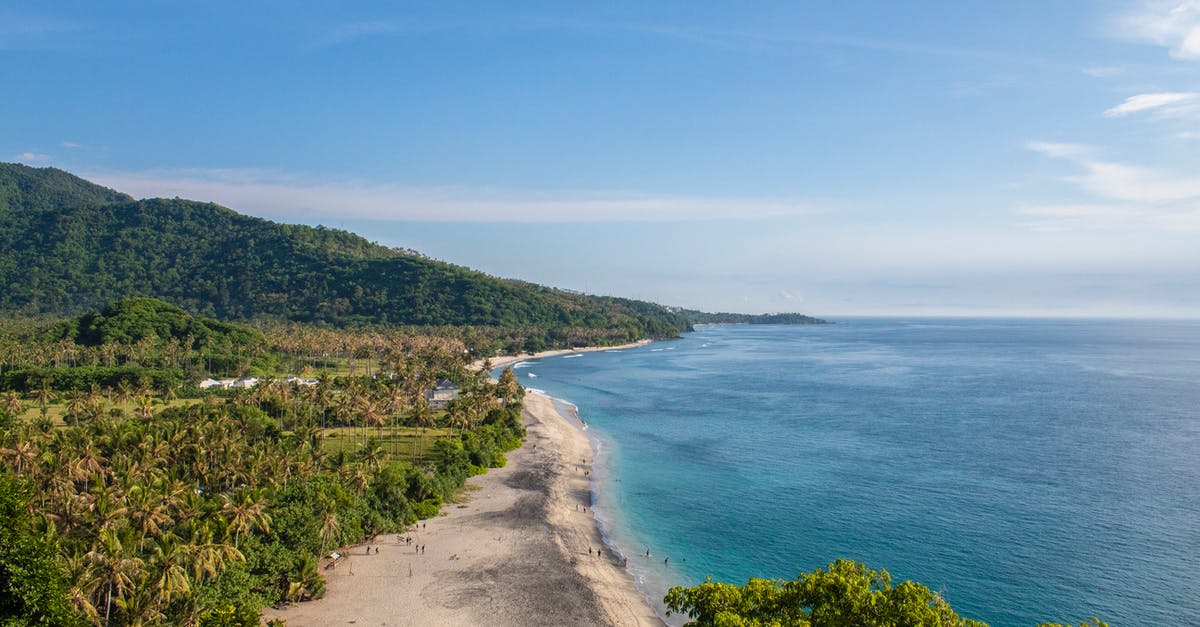 Should I get vaccination before travelling to Lombok (Indonesia) - Green Trees Near Blue Sea Under Blue Sky