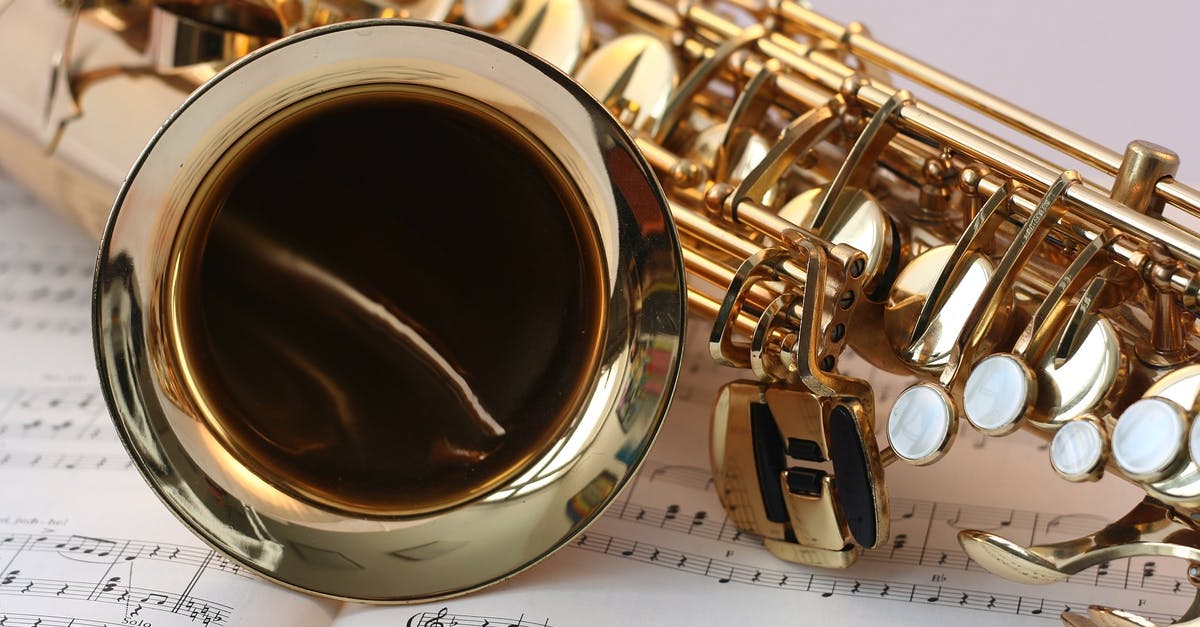 Should I include scholarship in "employment" section of DS160? [closed] - Gold Saxophone