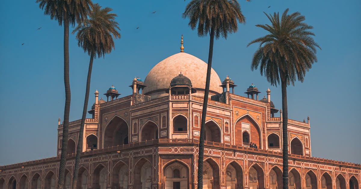 Shower for a traveler passing through Delhi - Brown Concrete Building Near Palm Trees