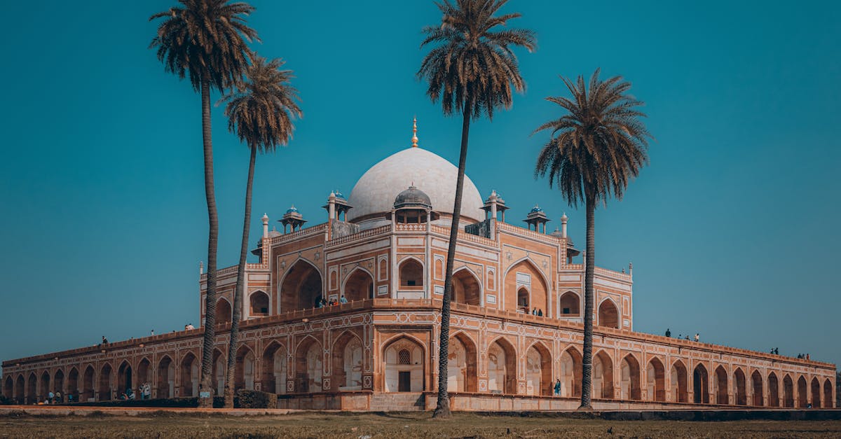 Shower for a traveler passing through Delhi - White Dome Building Near Palm Trees