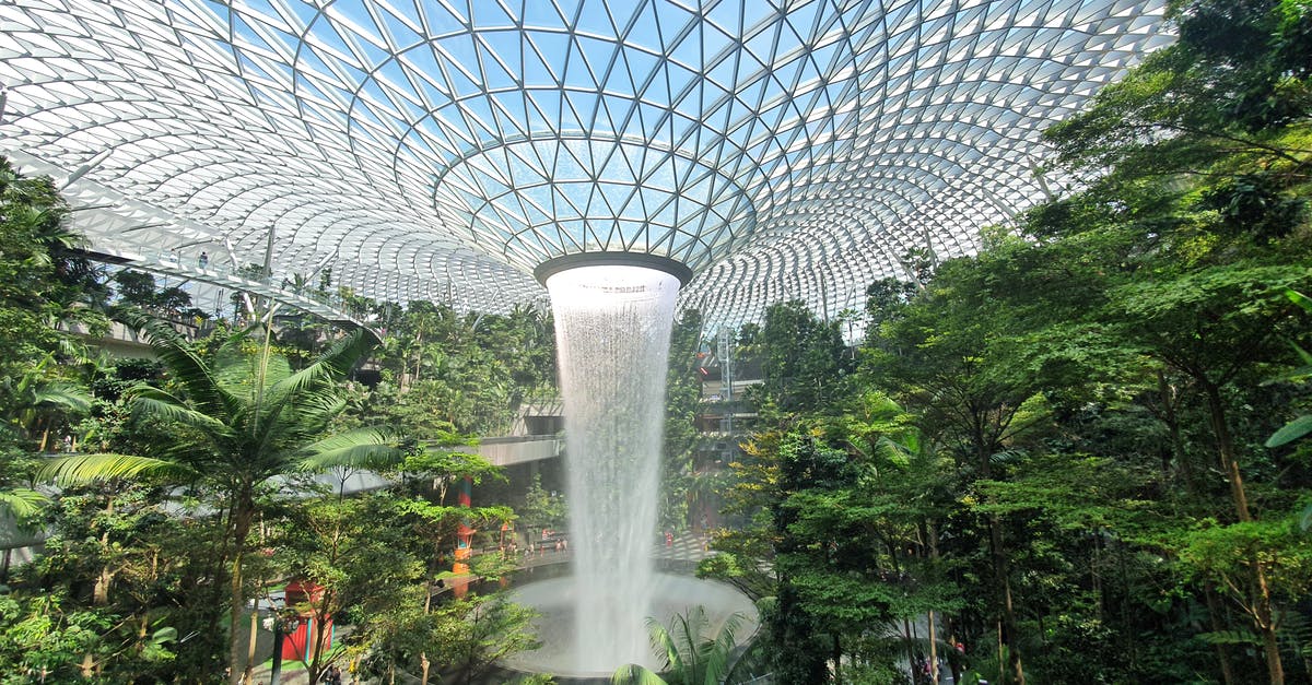 Singapore Airline-Transit for Level II Countries - Waterfalls From Metal and Glass Ceiling