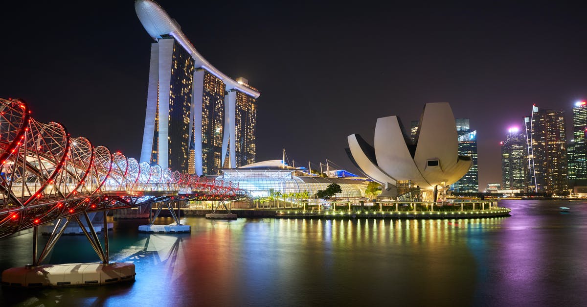 Singapore airport to hotel late at night - Gardens by the Bay, Singapore