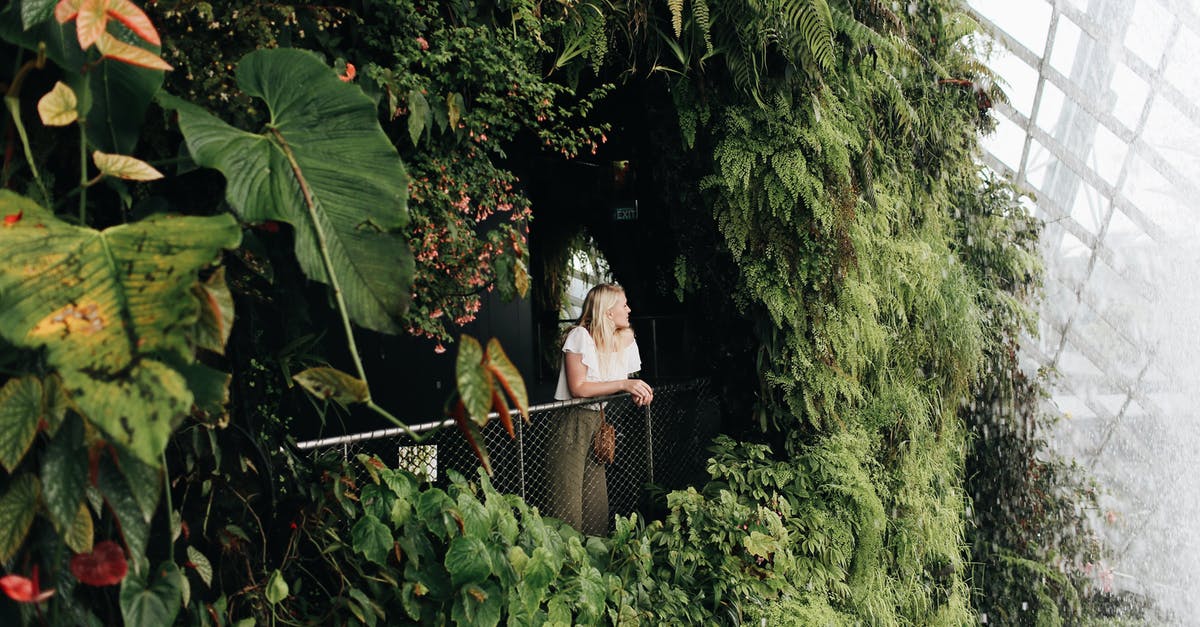 Singapore Tourist visa extension - A Woman Leaning by the Metal Railings of Gardens by the Bay