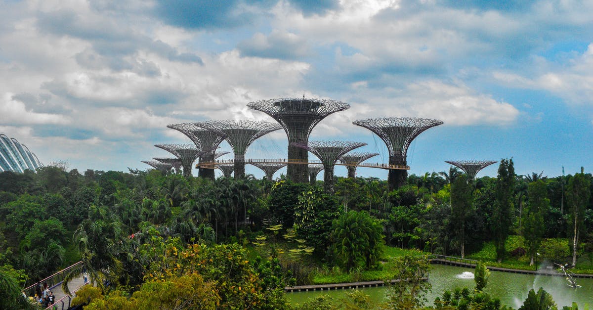 Singapore visa - duration of stay - Supertrees in Gardens by the Bay 