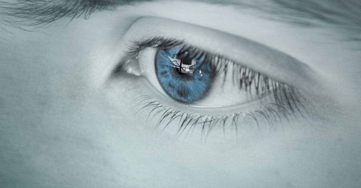 Sites to see between Regensburg and Frankfurt - Blue-eyed Pupil Wallpaper