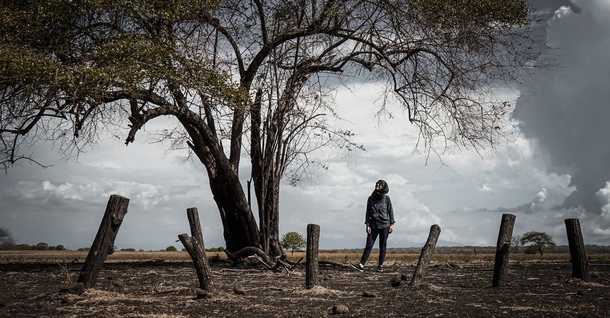 Sleeping options when under 18 and travelling solo - A Woman Standing Under the Tree