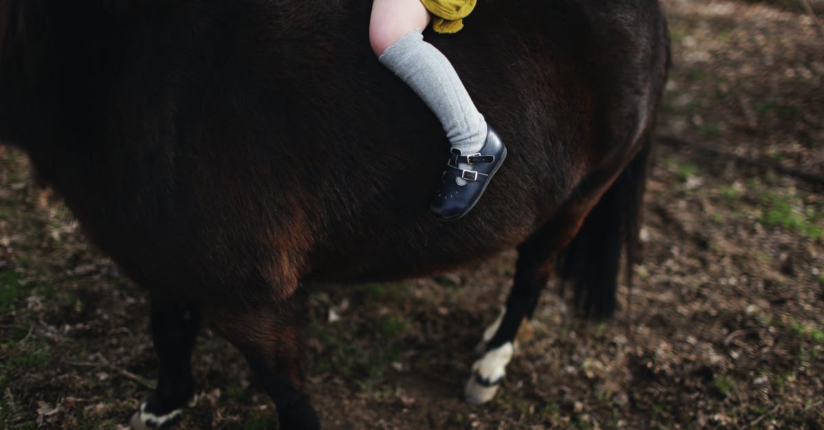 Small children to see the Queen's Horse Guards in London? - Crop little kid riding dark brown pony