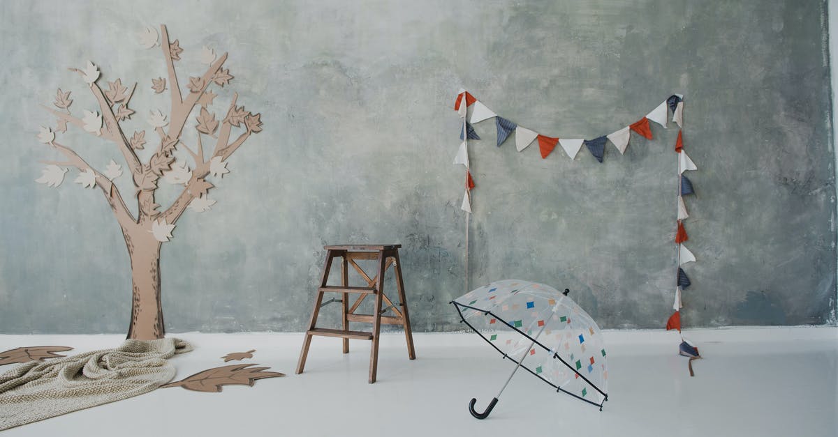 Small umbrella in the carry-on bag? - Transparent umbrella and decorative tree with leaves made of cardboard put on smooth white floor near heterogeneous grey background with garland in photo studio