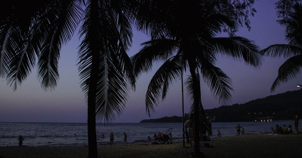 Snorkeling and beach location for Southern Thailand (Phuket/Krabi) in July? - Silhouette of Palm Trees Near Body of Water