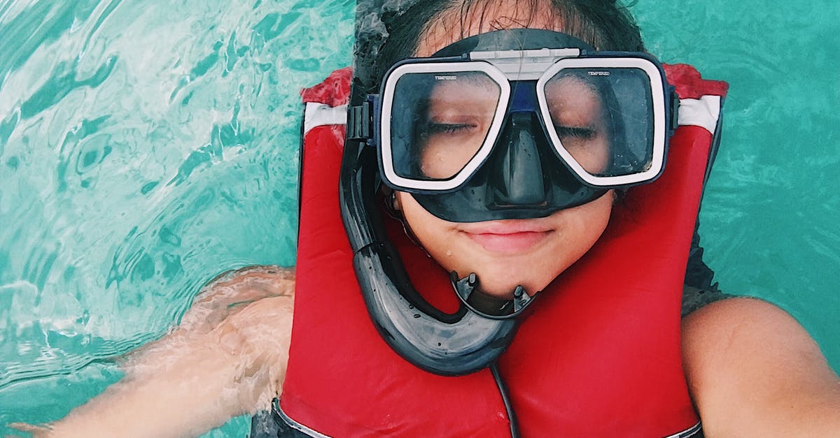 Snorkeling in southern Japan? - A person wearing red and black life vest and goggles while swimming