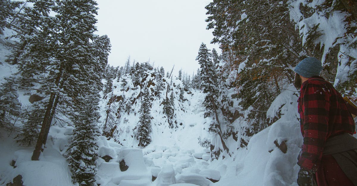 Snowshoeing/hiking in December in Geneva - Man Looking at Snow Covered Trees