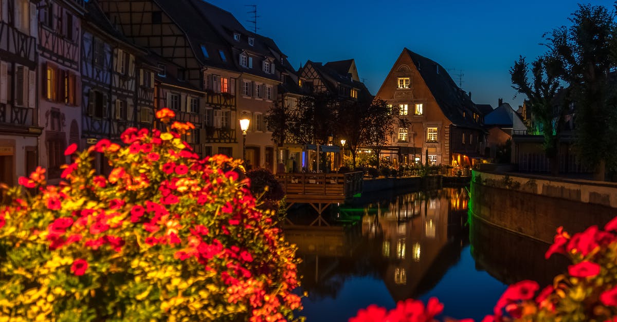 Something to do in or around Colmar in France [closed] - Red Flower Plants at Night