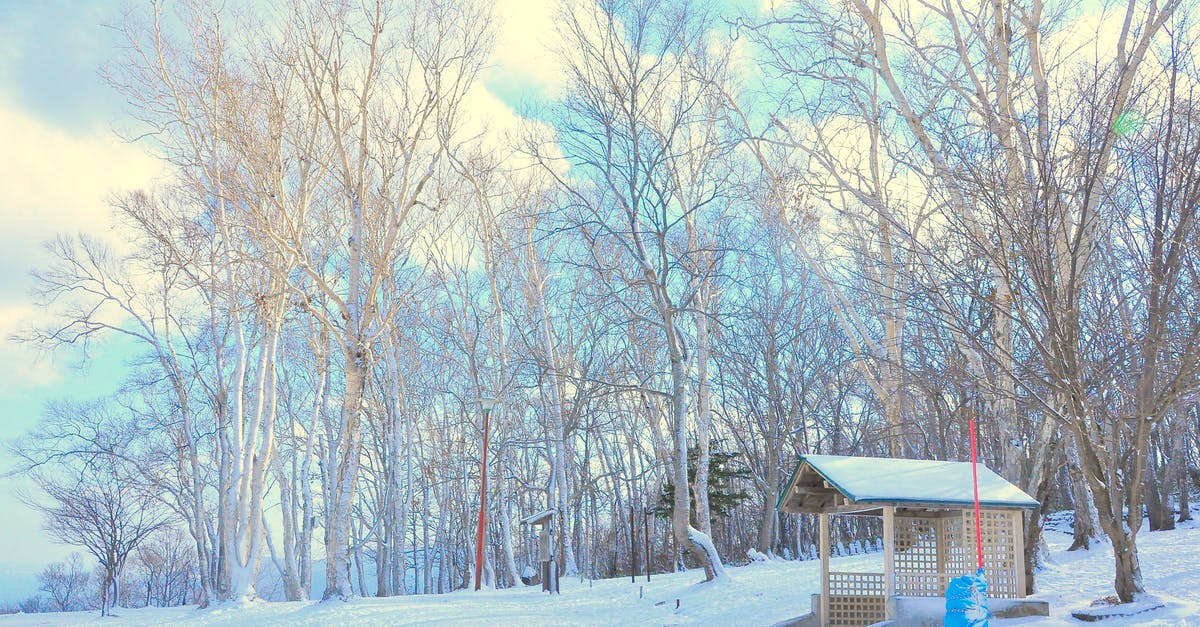 South Korea vs. Japan. Which gets cold earlier in autumn? - Snow Field Near in Forest