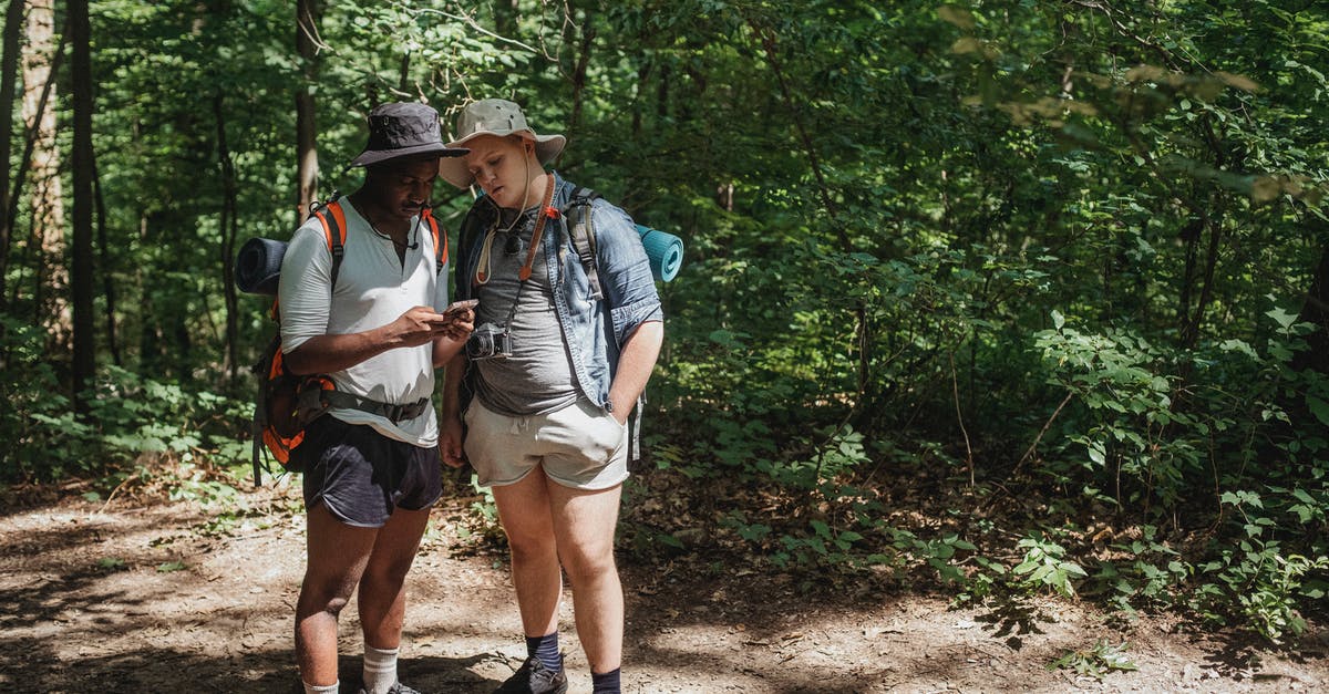 Spending a night in Minsk and continuing my journey using my Fan ID - Young multiracial male travelers with rucksacks watching cellphone on pathway against greenery trees in woods