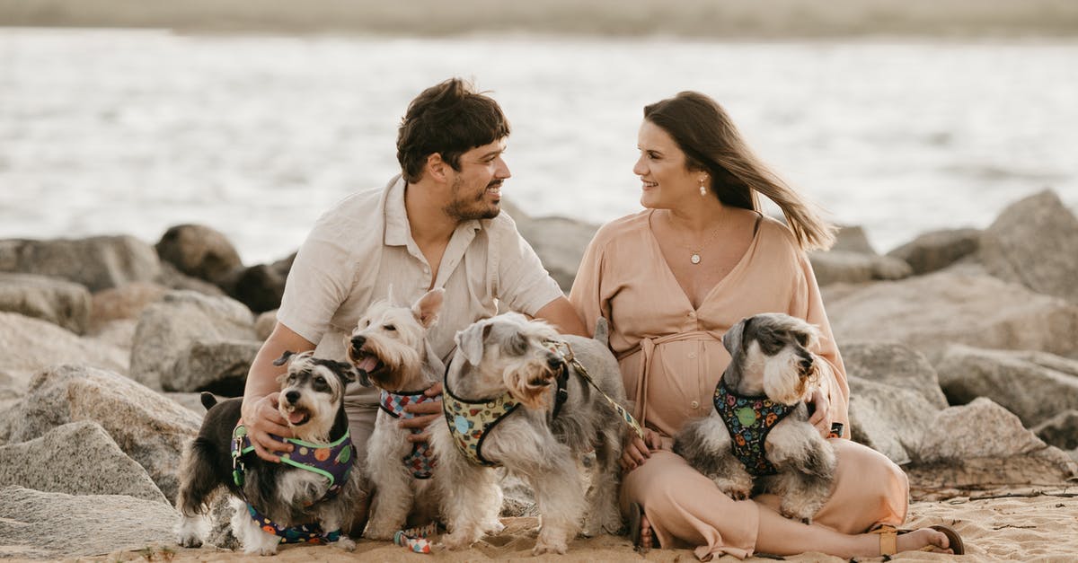 Spending pesos at IAH - Happy Couple Spending Time on Beach with Cute Dogs