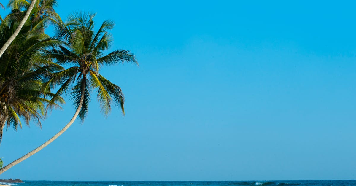 Sri Lanka as a tourist: Are there regions I should avoid? - Palm Tree Facing Sea