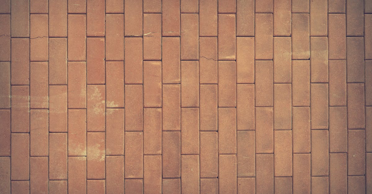 Stapled old and new passports - Brown Concrete Brick Wall