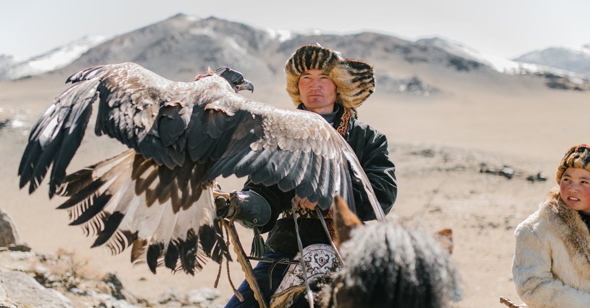 Staying in the Mongolian countryside on a reasonable budget - Serious Mongolian hunters with eagles riding horses in highlands