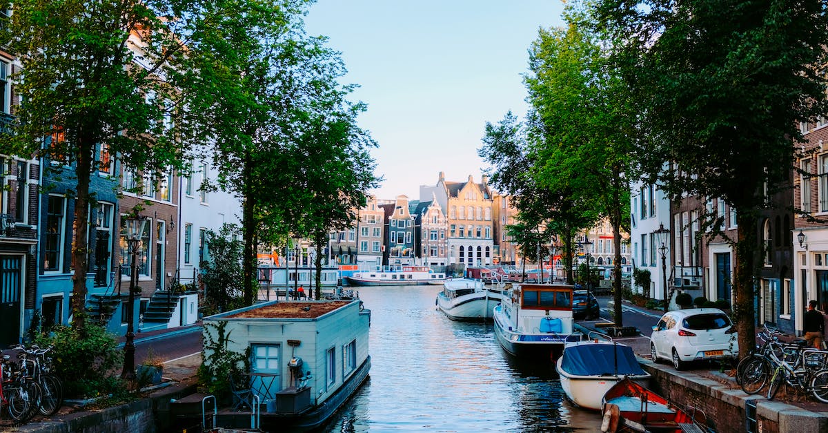 Steak house in Amsterdam? - Peaceful scenery of Amsterdam streets with typical houses against channel with moored boats on clear sunny day