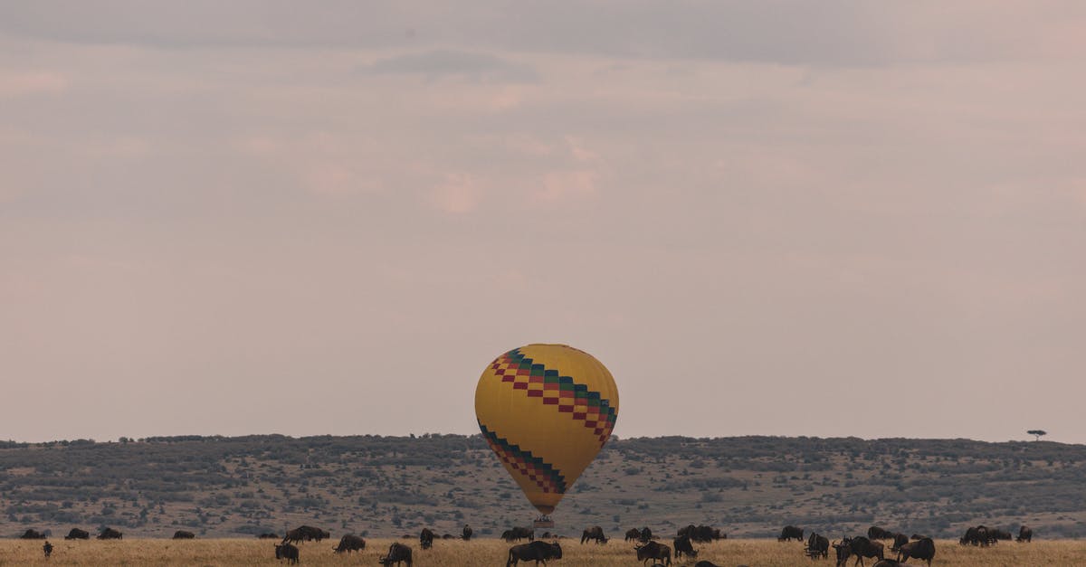 Strange landing interview at LGW for an EEA national - Colorful hot air balloon landing on savanna with herd of wildebeests pasturing in Serengeti national park Tanzania Africa