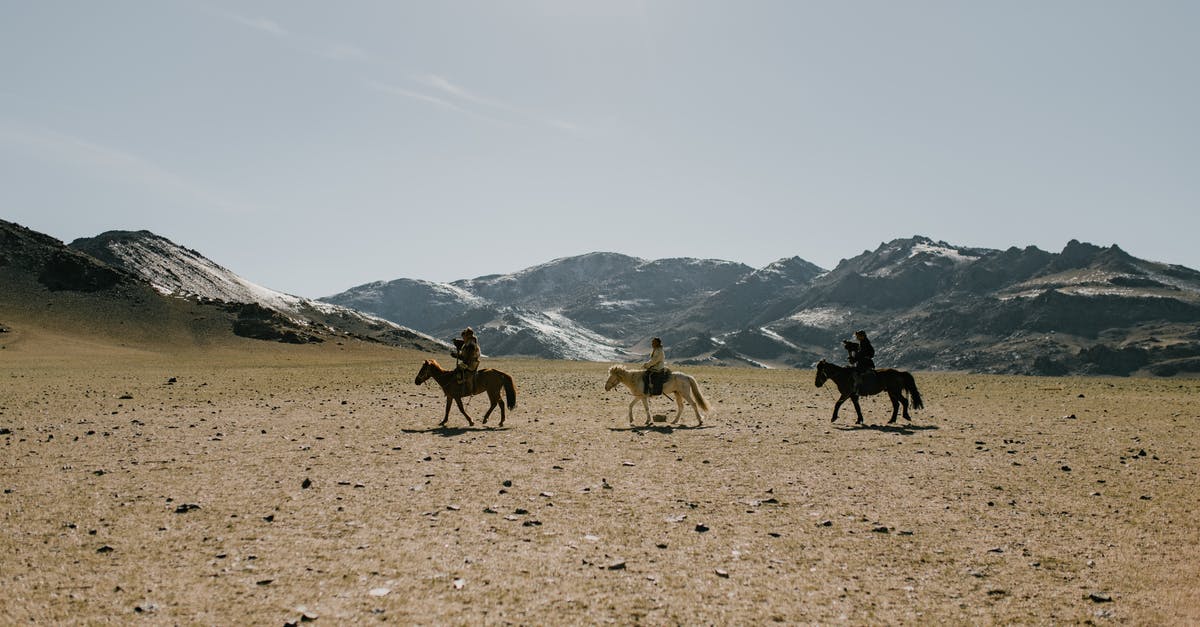 Strange landing interview at LGW for an EEA national - Ethnic equestrians walking along dry desert terrain covered with little stones with rocky mountains on background