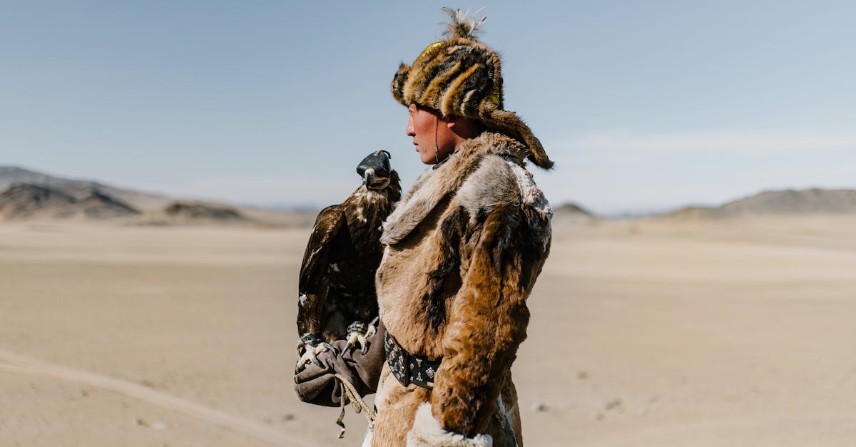Sustainable hunting in South-East Asia - Mongolian man standing with eagle on hand in spacious valley