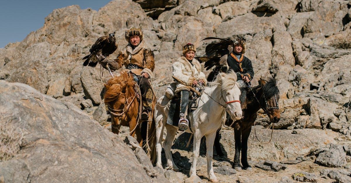 Sustainable hunting in South-East Asia - Focused Mongolian males in traditional warm wear riding horses and carrying eagles during eagle hunting at mountainous terrain