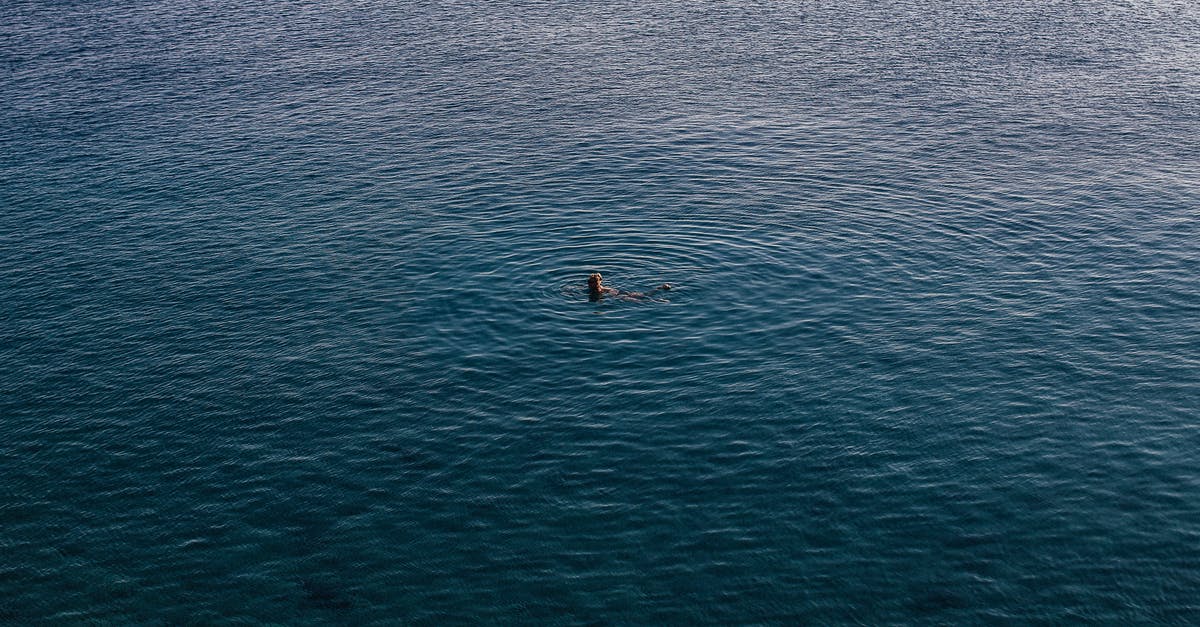 Swimming in the Dead Sea - Person in Black and White Boat on Blue Sea