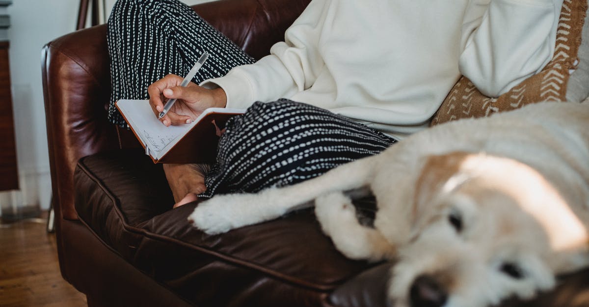 Taking a nap at Puy du Fou - High angle of crop unrecognizable barefooted female freelancer writing in notebook while sitting on soft couch near sleeping dog