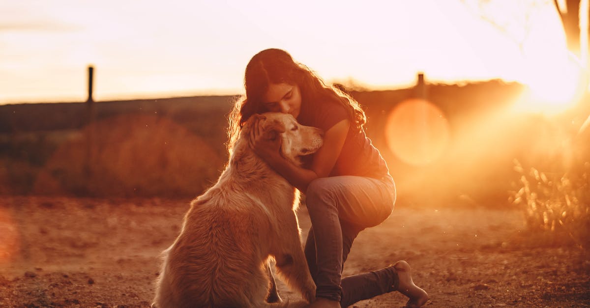 Taking an Emotional Support dog on an overnight trip to Hawaii [duplicate] - Full body of young long haired female in casual wear cuddling Golden Retriever dog while standing on knee barefoot in open air at dusk