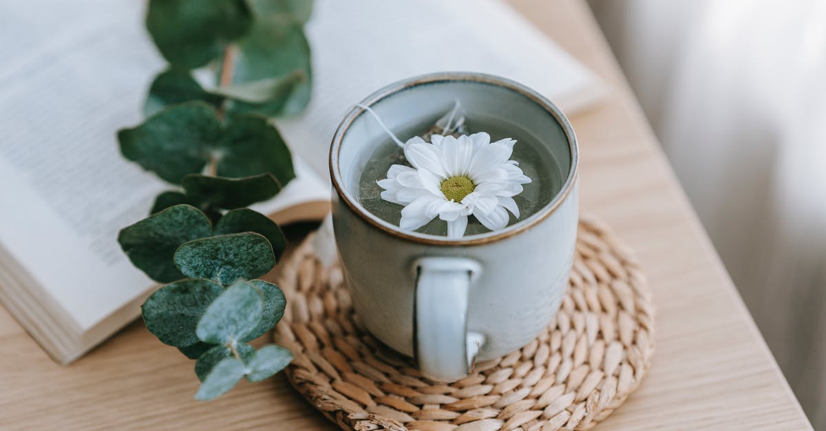 Taking fennel tea bags into Canada - Green tea with blooming Chrysanthemum near Eucalyptus on table