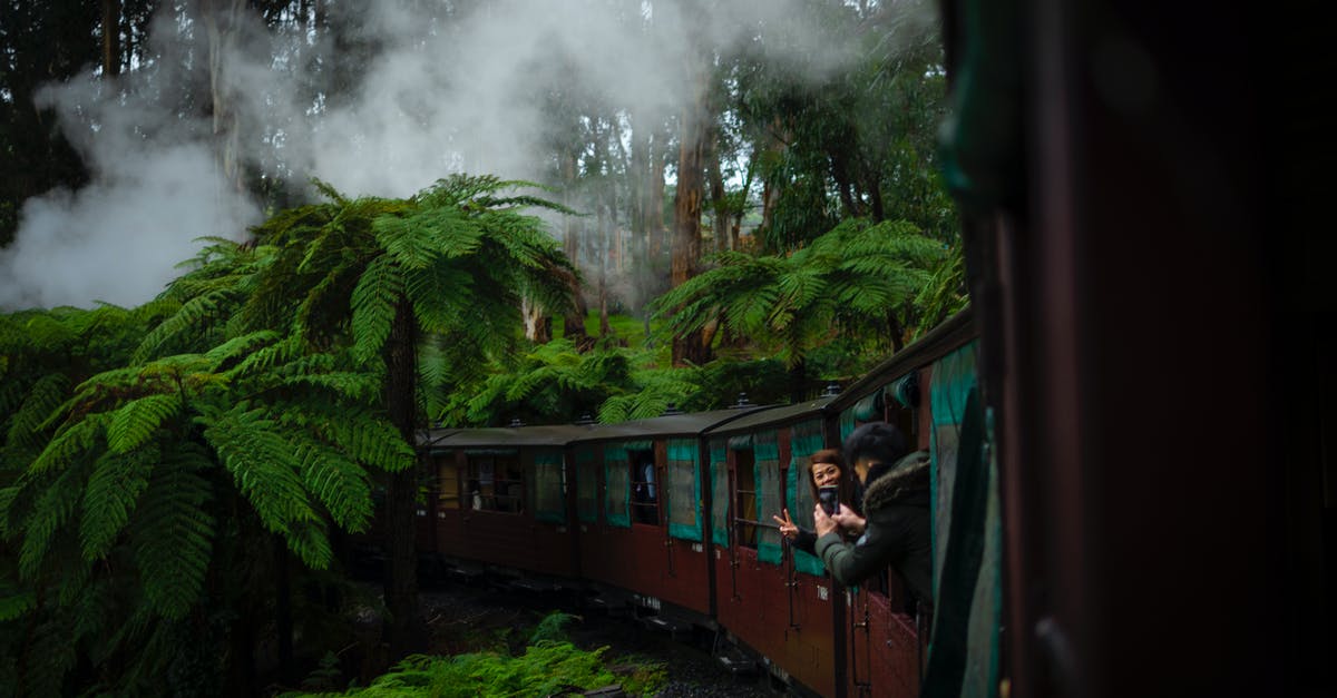 Taking the train from Madrid to Malaga - Woman and Man Near Tree