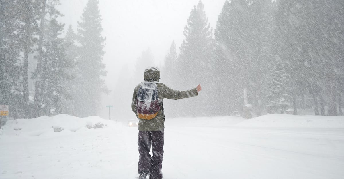 Taxi in rural area: how to ensure it will turn up? - Back view of unrecognizable traveler in warm outerwear and backpack standing on snowy road among coniferous forest and hitch hiking on foggy day