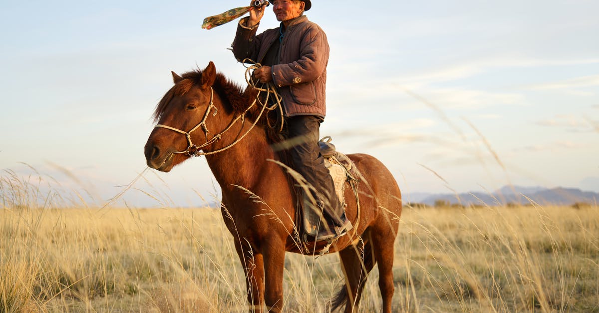 Taxi in rural area: how to ensure it will turn up? - Senior Asian horseman wearing national cloth looking away through vintage monocular standing up in stirrups while riding brown horse in steppe with dried yellow grass and distant mountains in haze under blue sky